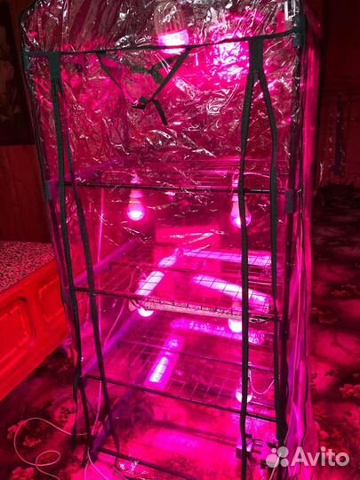 Теплица для рассады