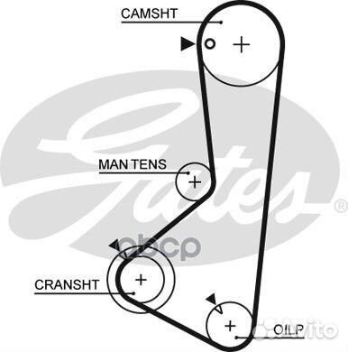 Ремень грм mitsubishi pajero -00 2.4 5254XS Gates