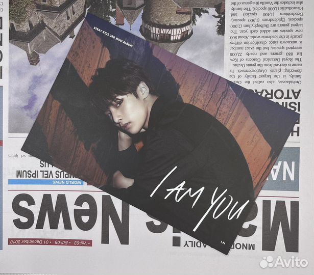 Stray kids открытки Чонин