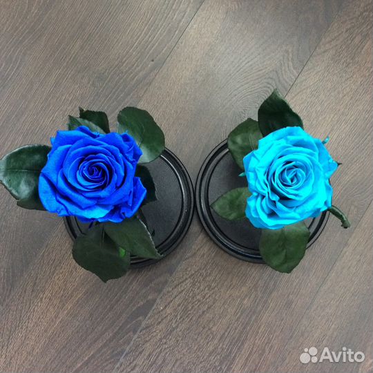 Роза в колбе во Владимире. В наличие