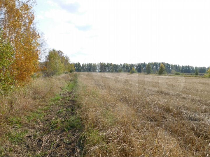 Участок 3,4 га (СНТ, ДНП)