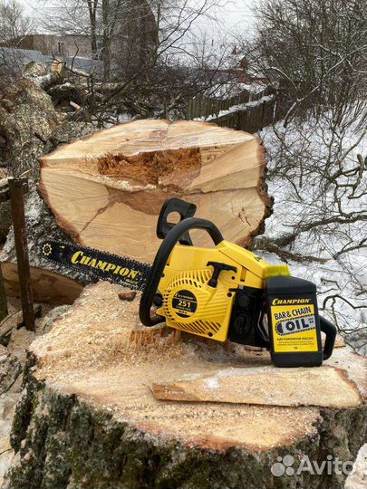 Валка деревьев