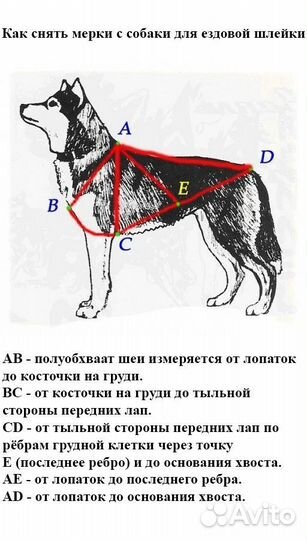 Шлейка ездовая для собаки