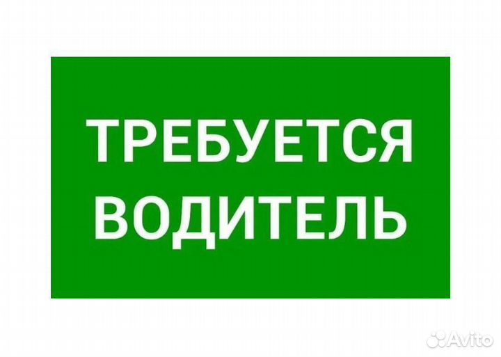 Водитель минивэна межгород