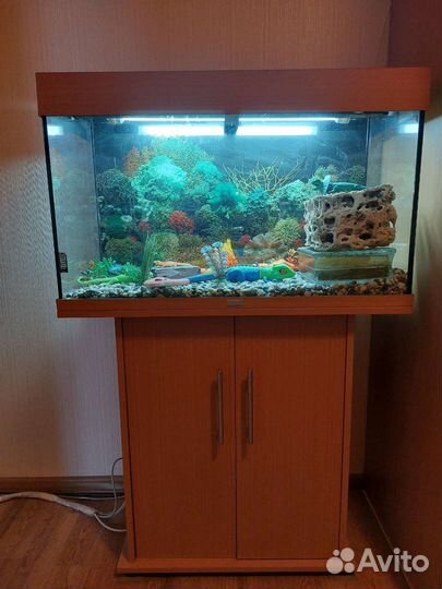 Аквариум juwel rio 125, интерьер, фильтр, обогрев