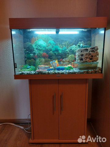 Аквариум juwel rio 125, интерьер, фильтр, обогрев