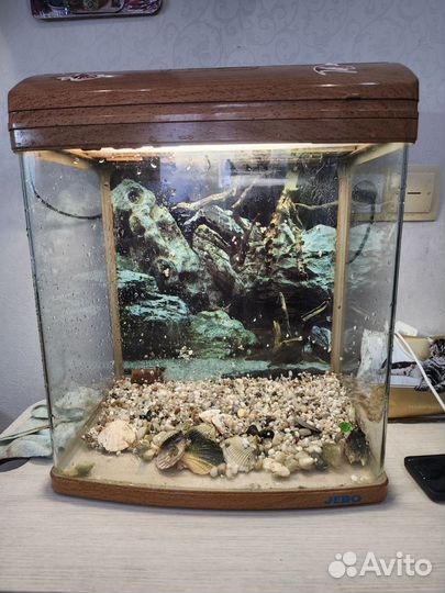 Аквариум