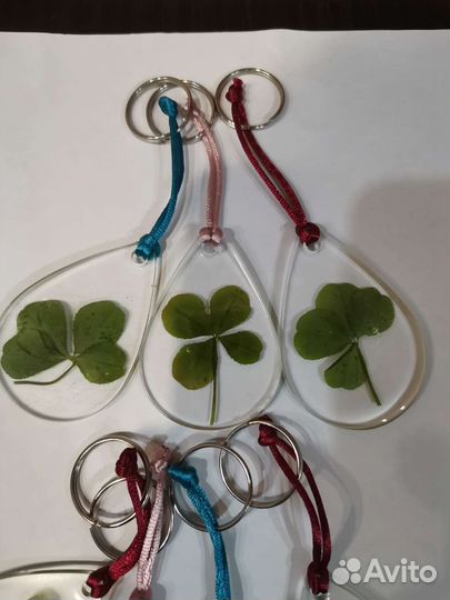 Клевер четырехлистный