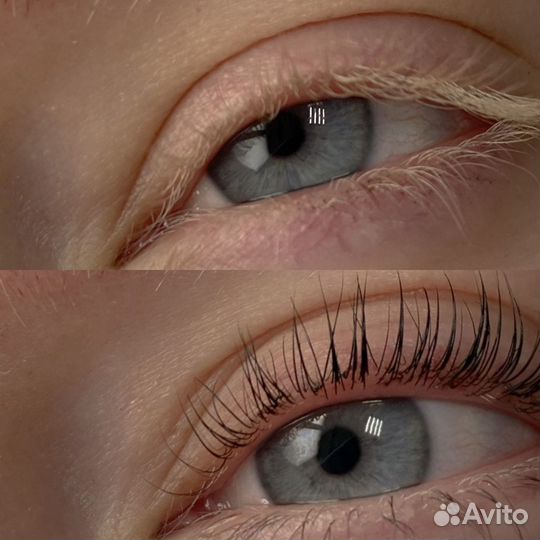 Обучение ламинирование ресниц