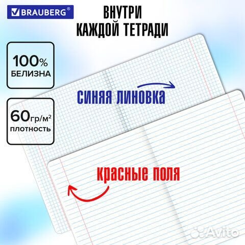 Тетради предметные brauberg, 