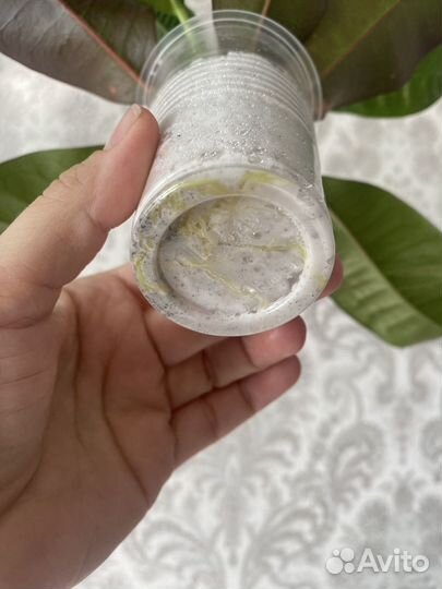 Кротон миссис айстон