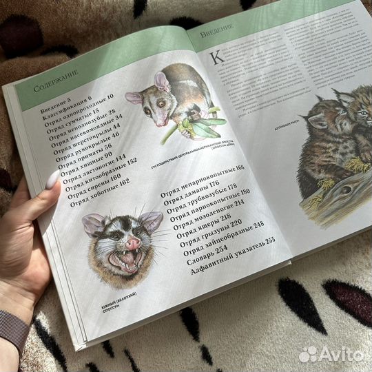 Животные: Полная Энциклопедия / эксмо, 2010г