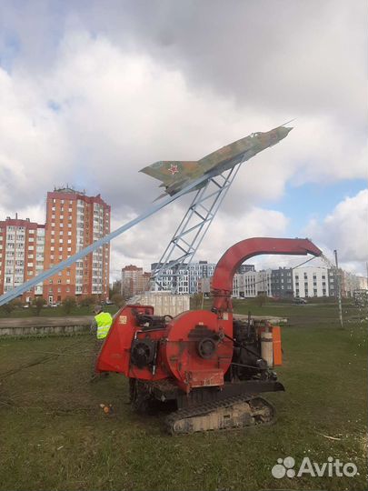 Измельчитель веток, дробилка дерева, аренда