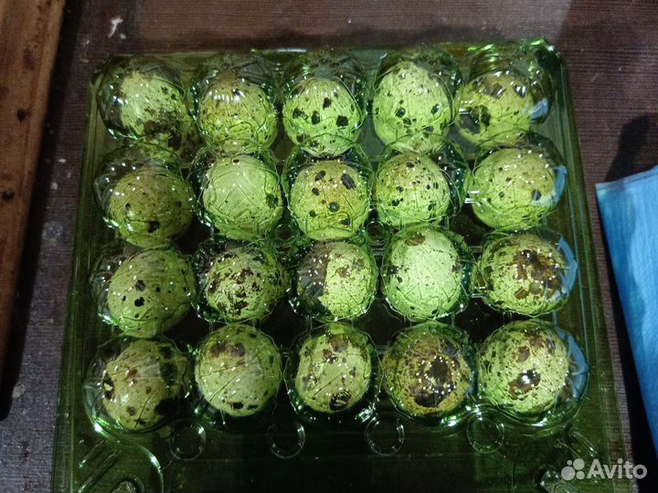 Яйца перепелиные