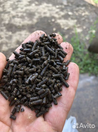 Корм для ракообразных