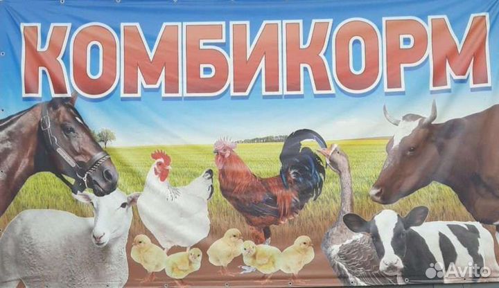 Комбикорма, Отруби, Зерно, Ячмень, Овес, Пшеница