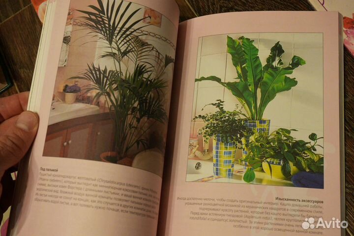 Книги для дачников