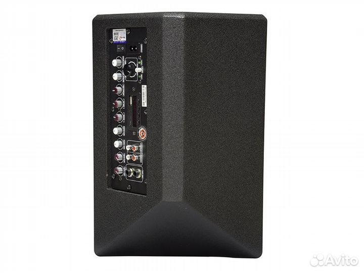 Активная переносная акустическая система Biema X-1