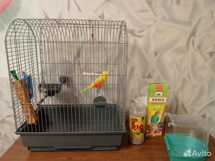 Продам клетку