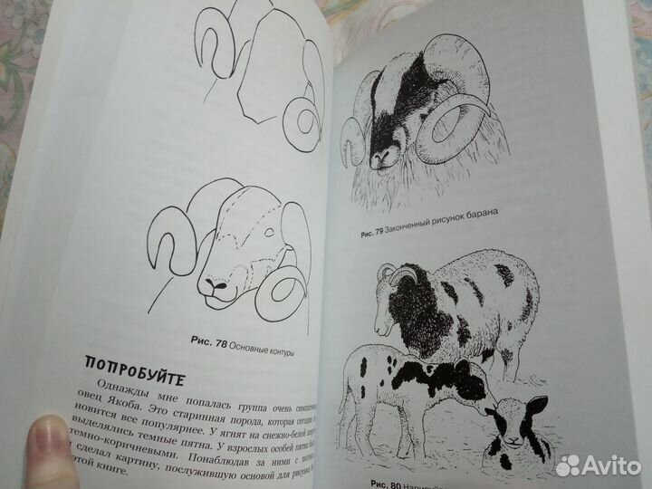 Книга «Рисовать Легко» как нарисовать все