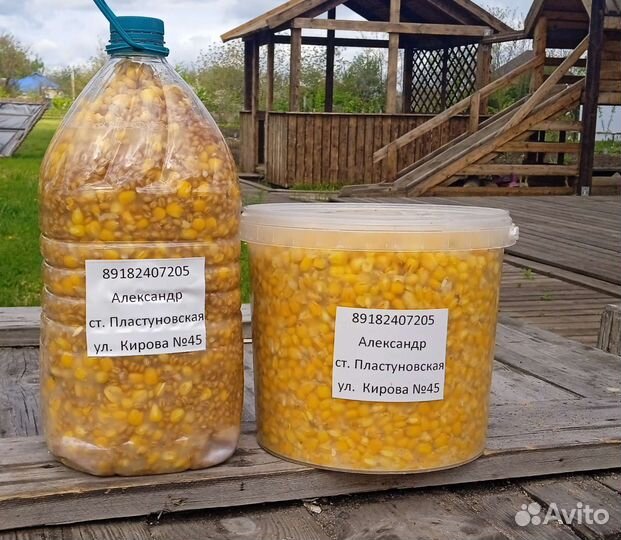 Кукуруза для рыбалки