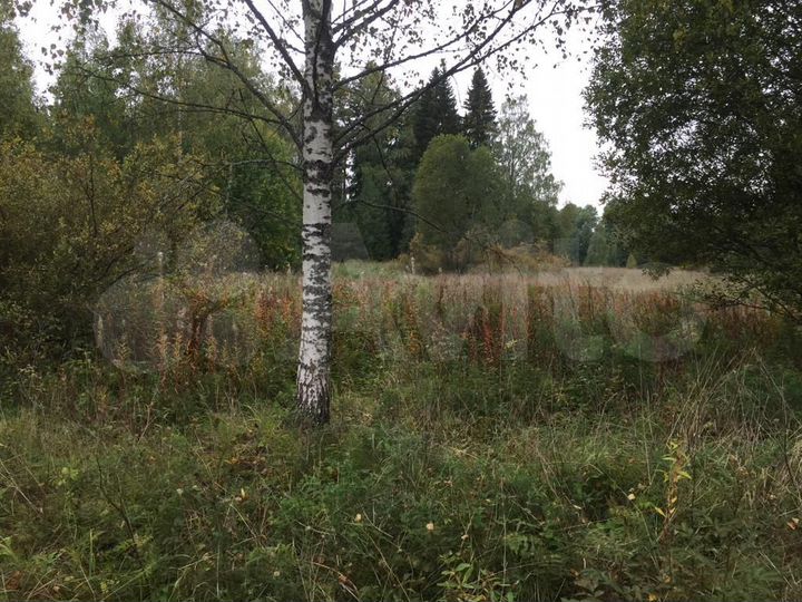 Участок 10 сот. (СНТ, ДНП)