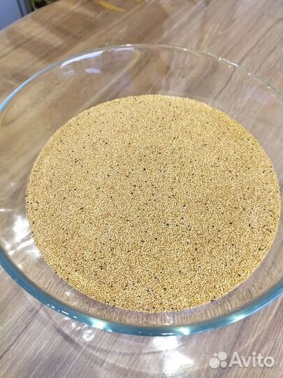 Продаю семена амаранта