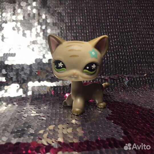 Лпс питомцы