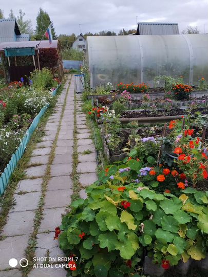 Дом 60,2 м² на участке 6,8 сот.