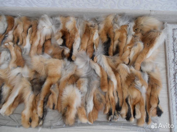 Мех рыжей лисы. Лапы