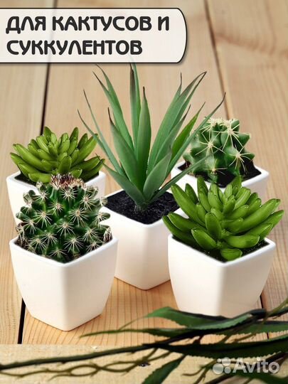Горшок для цветов Набор кашпо для кактуса 5 штук
