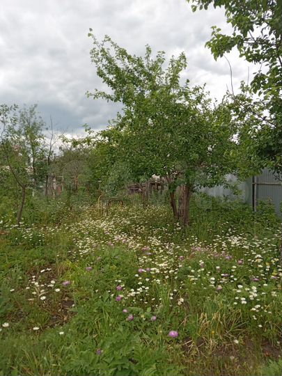 Участок 5,5 сот. (СНТ, ДНП)