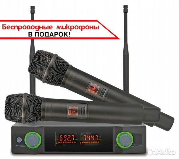 Караоке Evobox Gold + радиомикрофоны в подарок