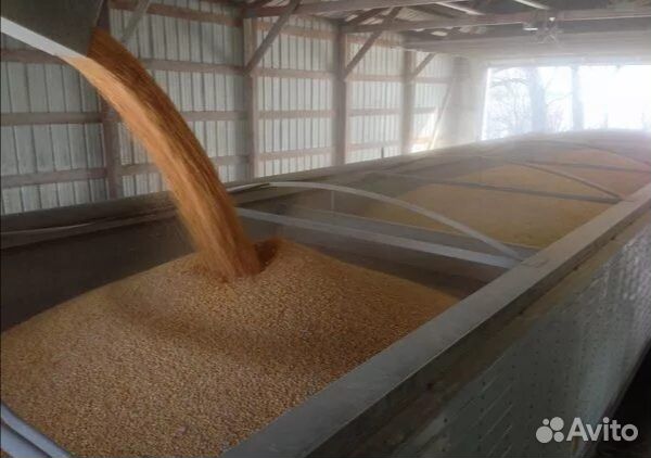 Зерно овёс пшеница ячмень отруби ассортимент 10т