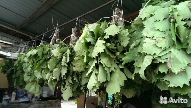 Продам веники для бани (дуб, береза, эвкалипт)