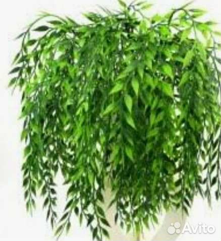 Чаша под рассаду цветов навесная