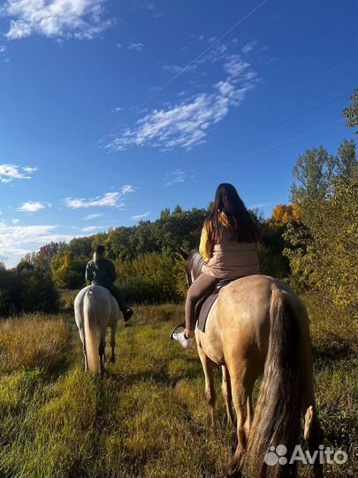 Прогулки на лошадях. Обучение. Прокат