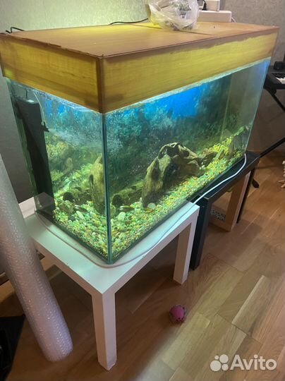 Аквариум