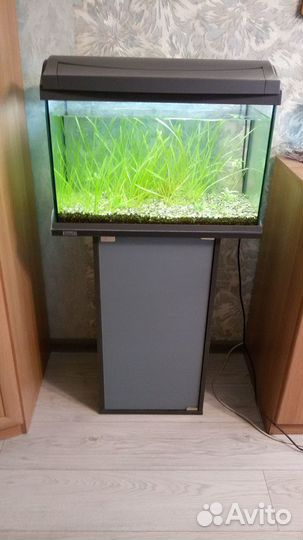 Аквариум 60 л. с тумбой Tetra (Германия)