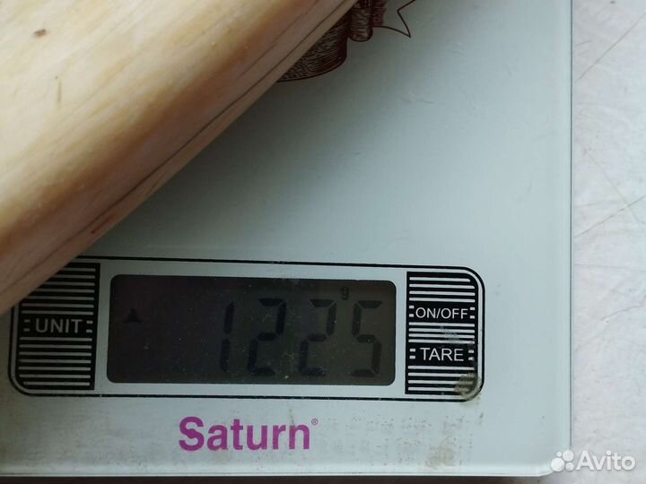 Зуб морского животного