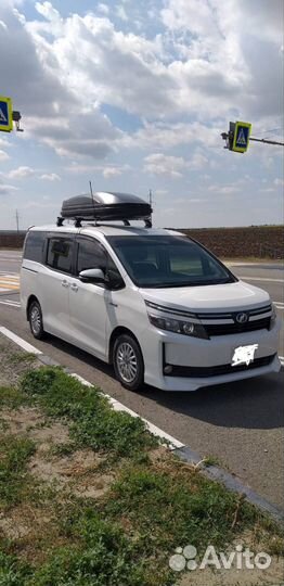 Услуги микроавтобуса