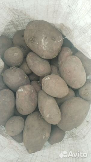 Картофель с доставкой