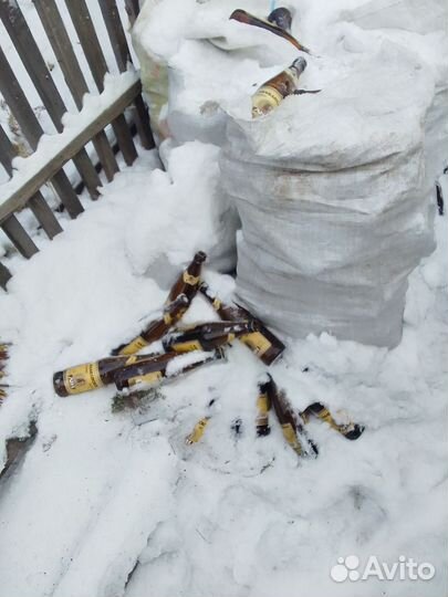 Стекло тара Аян2 за штуку