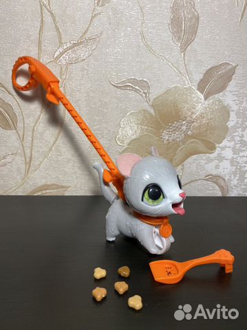 Котенок на поводке