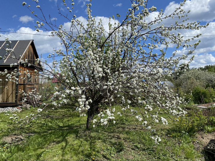 Дача 20 м² на участке 10 сот.