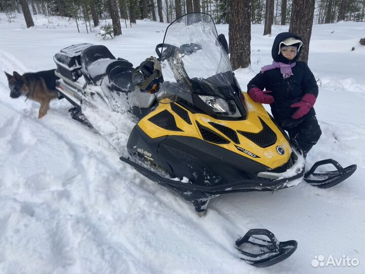 Скандик 550f wt