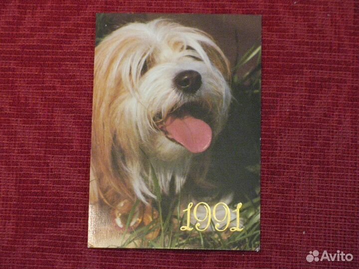 Кк Набор - породы собак, 6 шт (8 фото)