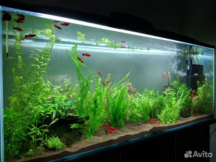 Аквариум на 500 литров