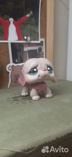 Littlest Pet Shop