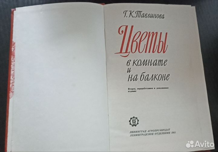 Цветы в комнате и на балконе. Тавлинова